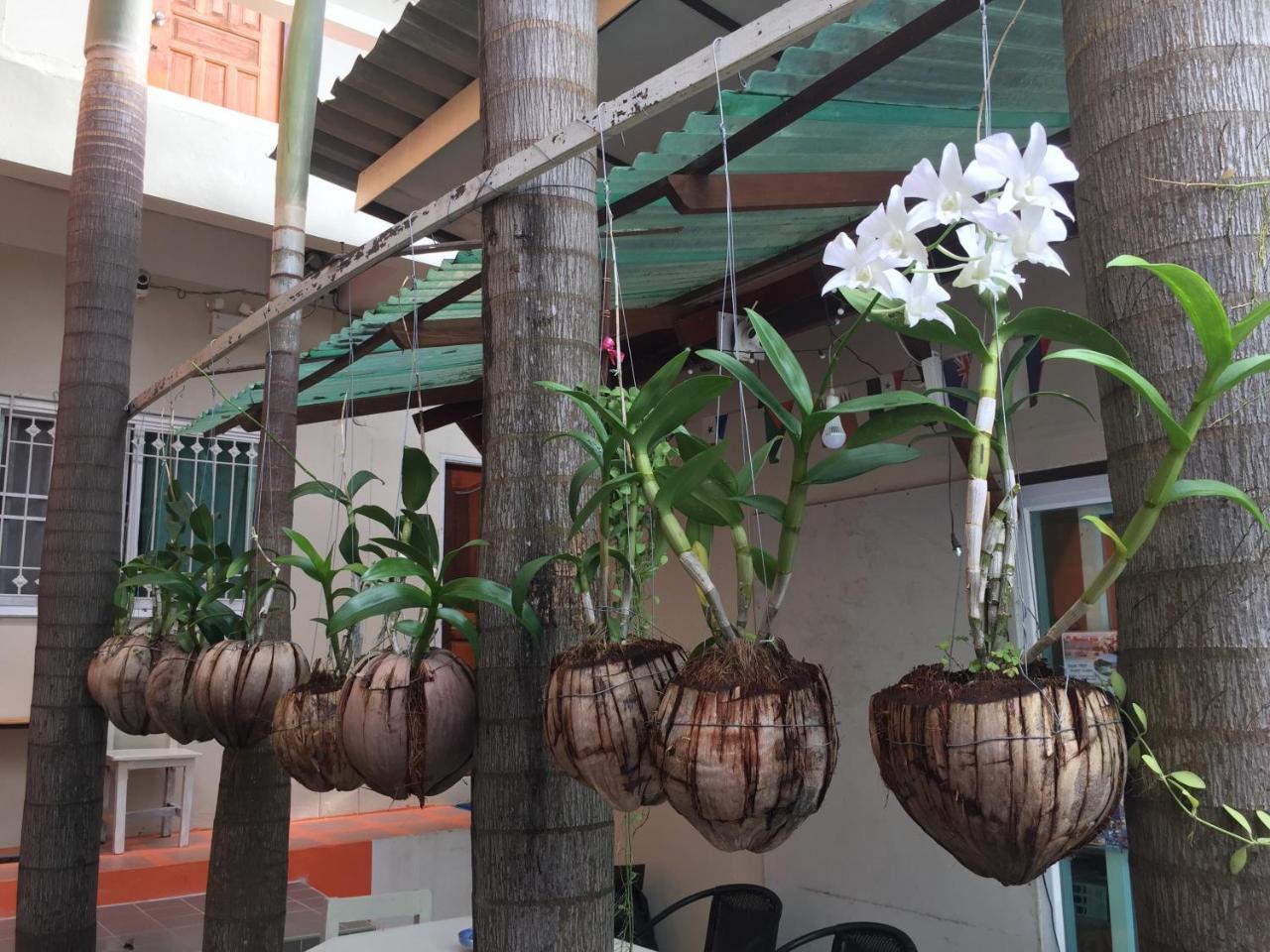 Sarin Guesthouse Koh Tao Exterior photo